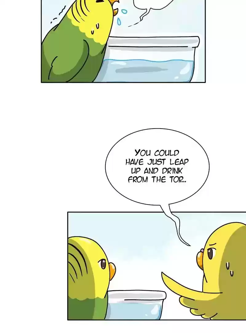 A Budgie's Life Chapter 298: Ep.297: