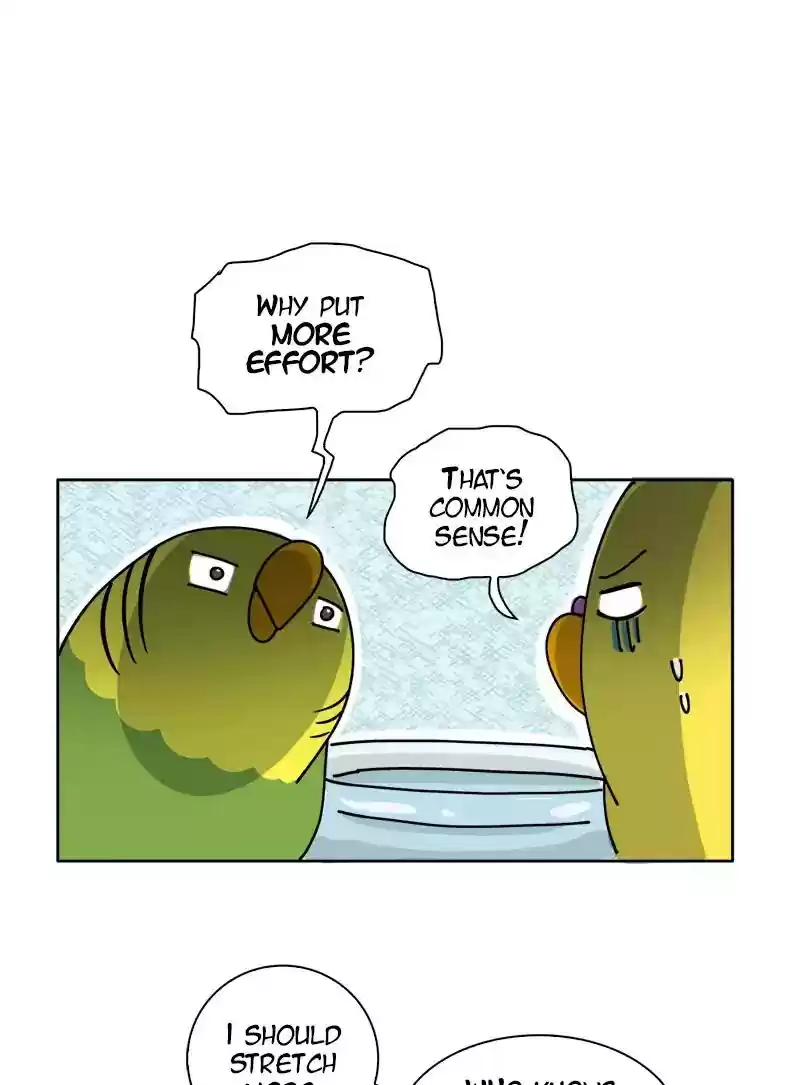 A Budgie's Life Chapter 298: Ep.297: