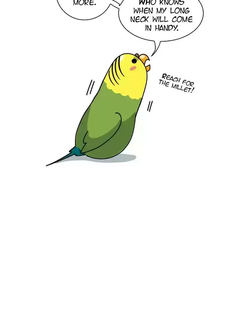 A Budgie's Life Chapter 298: Ep.297: