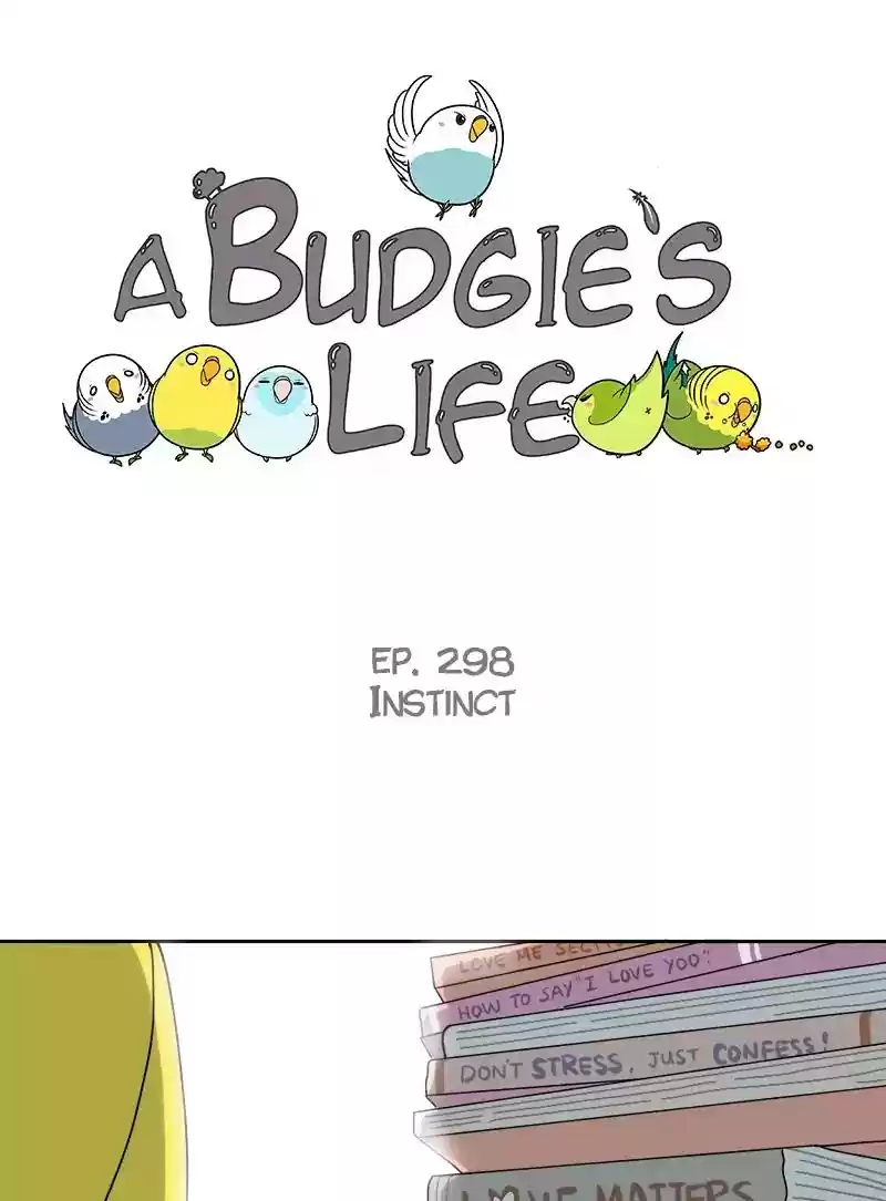 A Budgie's Life Chapter 299: Ep.298: