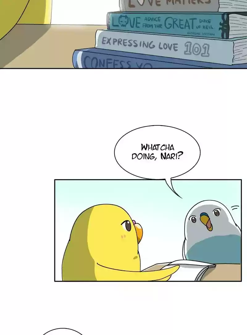 A Budgie's Life Chapter 299: Ep.298: