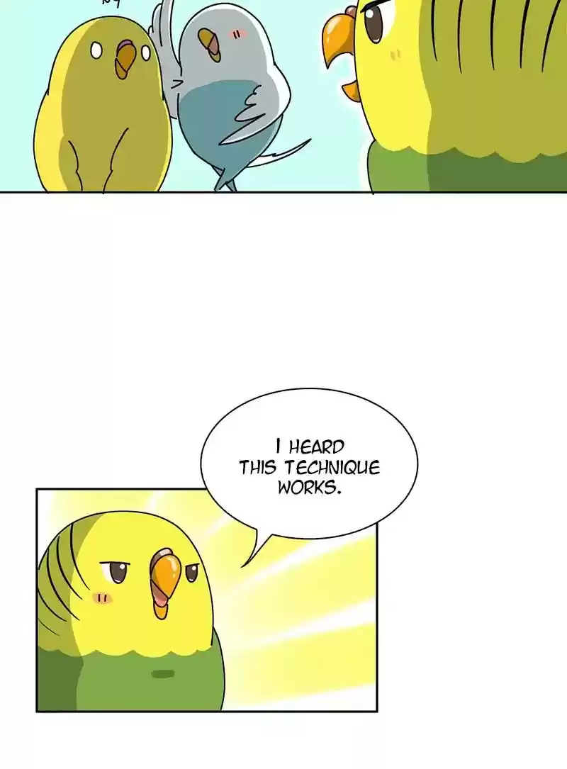 A Budgie's Life Chapter 299: Ep.298: