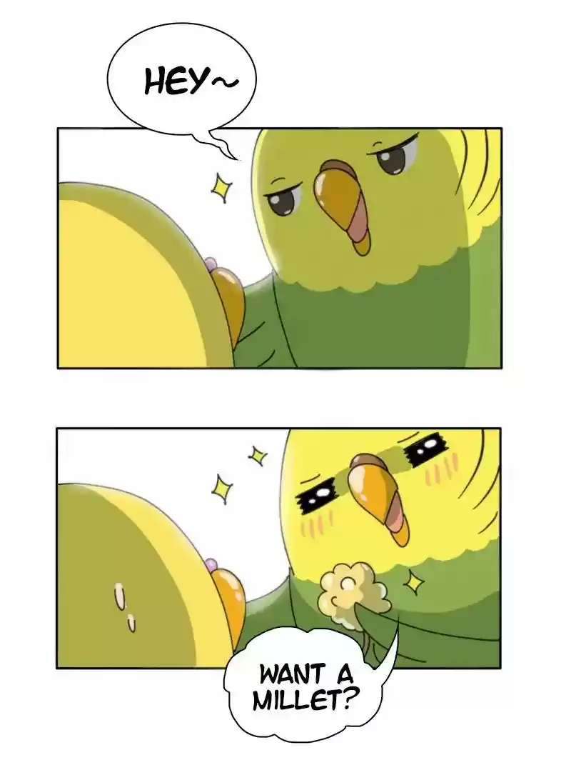 A Budgie's Life Chapter 299: Ep.298: