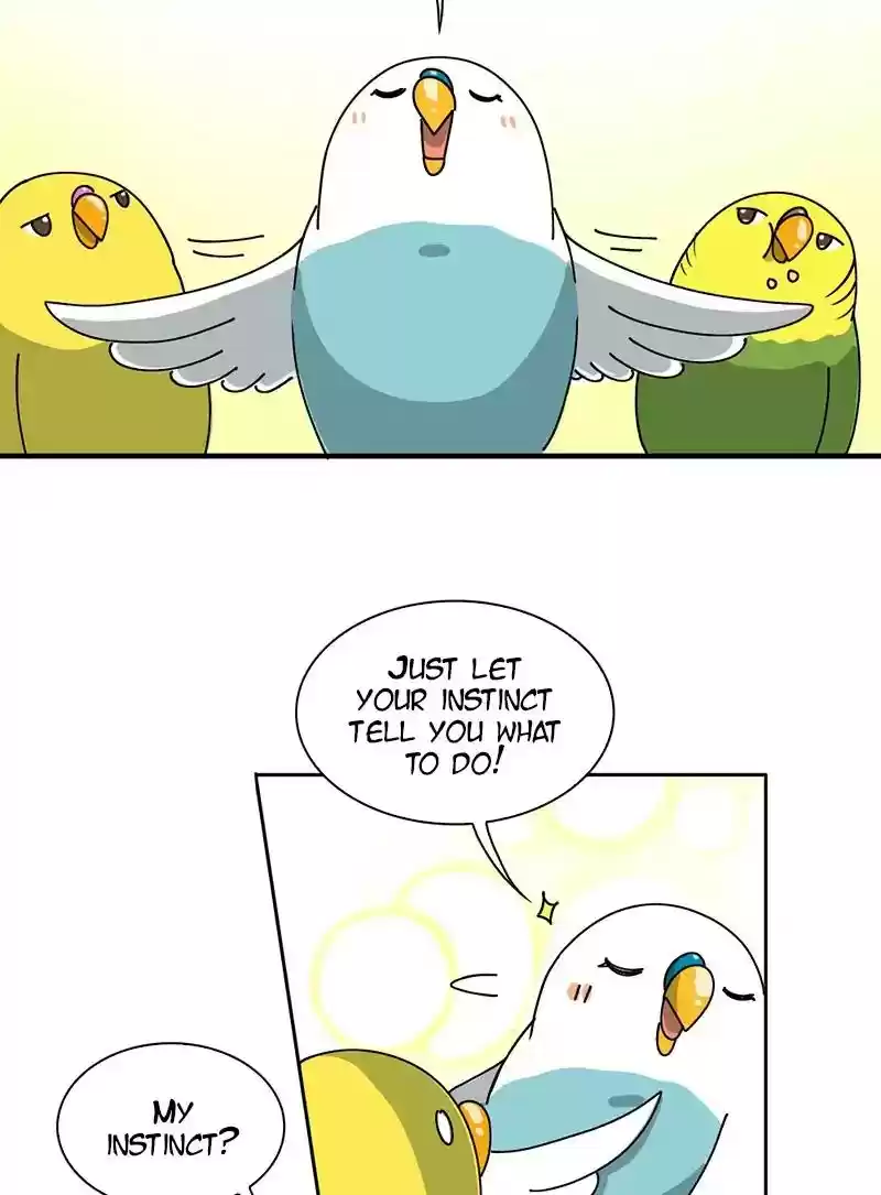 A Budgie's Life Chapter 299: Ep.298: