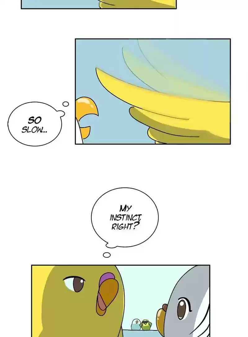 A Budgie's Life Chapter 299: Ep.298: