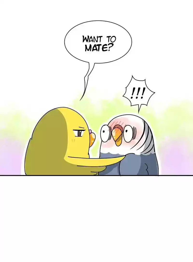 A Budgie's Life Chapter 299: Ep.298: