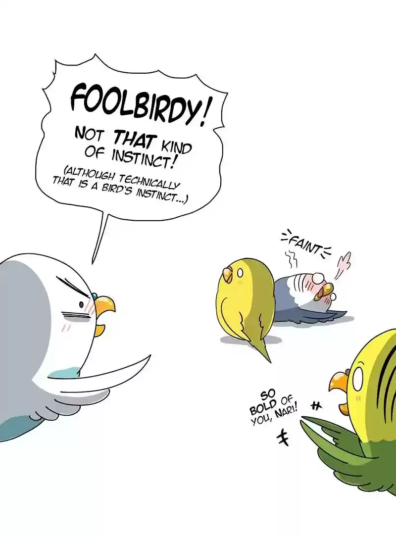 A Budgie's Life Chapter 299: Ep.298: