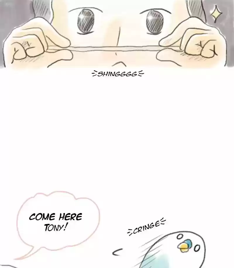 A Budgie's Life Chapter 3: Ep.3: