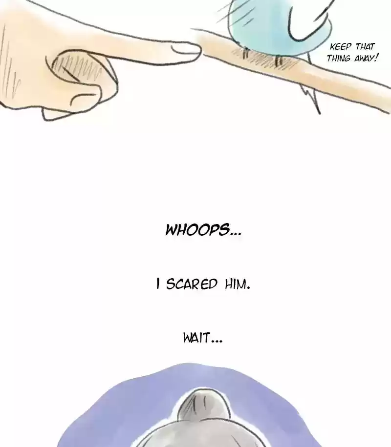 A Budgie's Life Chapter 3: Ep.3: