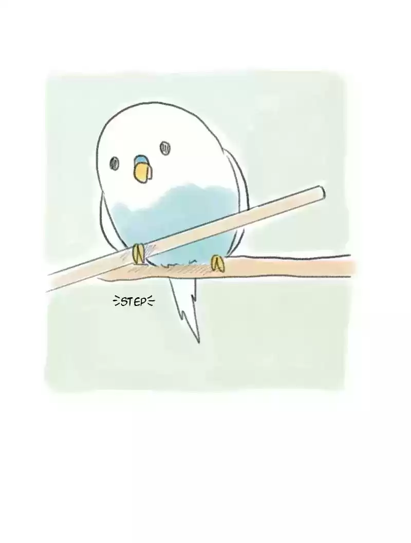 A Budgie's Life Chapter 3: Ep.3: