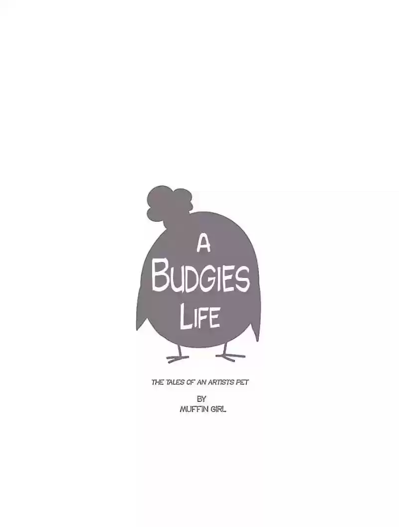 A Budgie's Life Chapter 3: Ep.3: