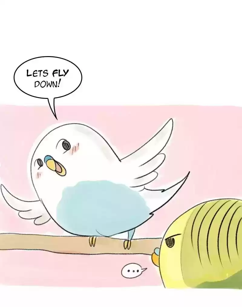 A Budgie's Life Chapter 30: Ep.30: