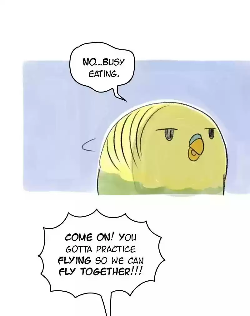 A Budgie's Life Chapter 30: Ep.30: