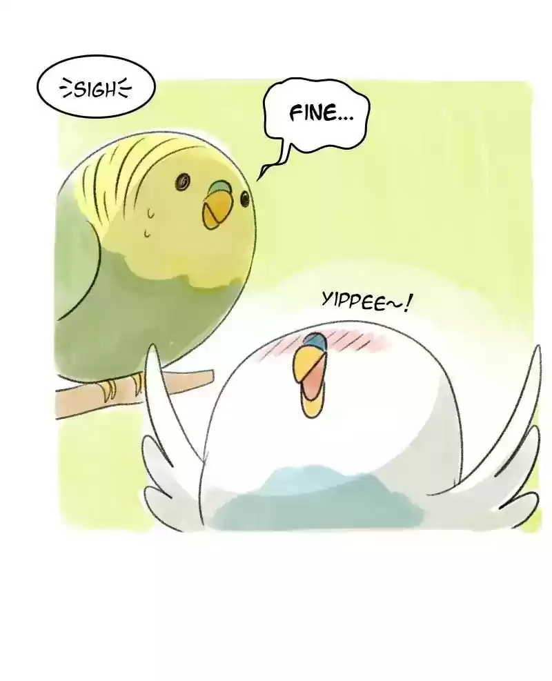 A Budgie's Life Chapter 30: Ep.30: