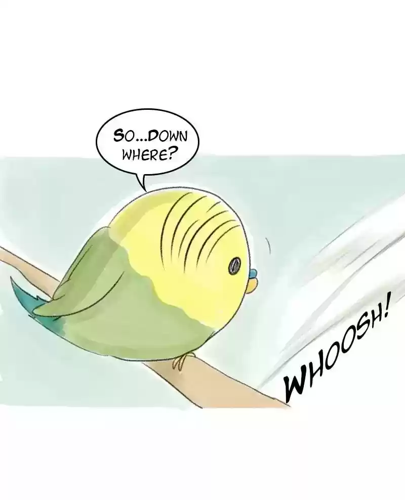 A Budgie's Life Chapter 30: Ep.30: