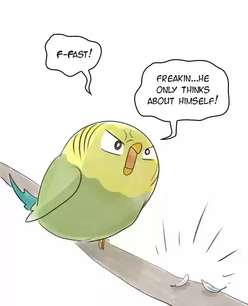 A Budgie's Life Chapter 30: Ep.30: