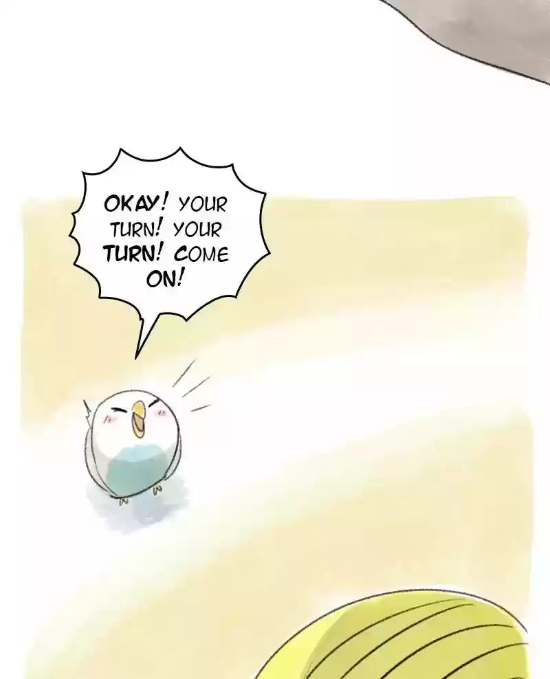 A Budgie's Life Chapter 30: Ep.30: