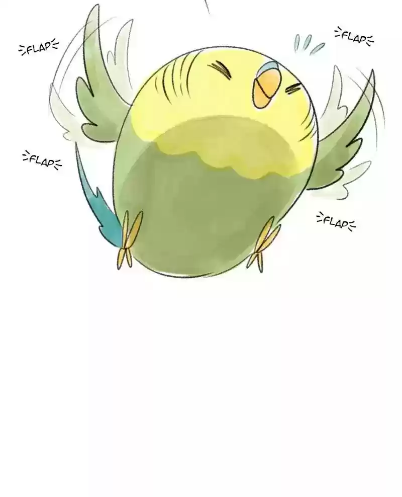 A Budgie's Life Chapter 30: Ep.30: