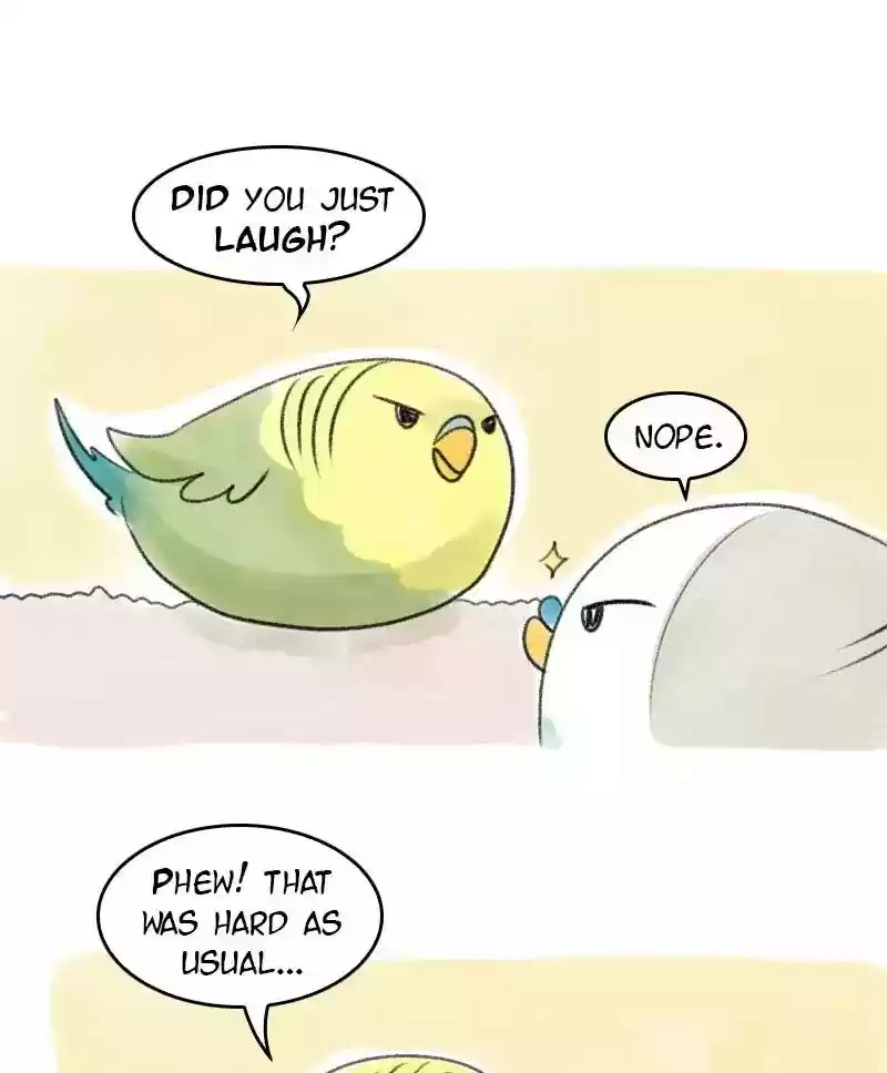A Budgie's Life Chapter 30: Ep.30:
