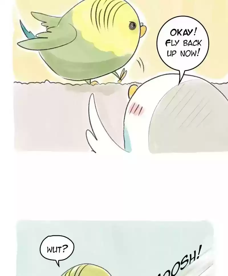 A Budgie's Life Chapter 30: Ep.30: