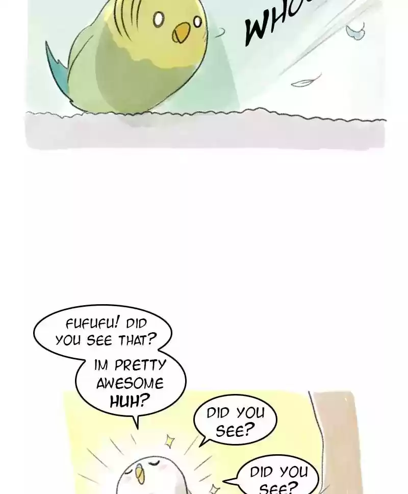 A Budgie's Life Chapter 30: Ep.30: