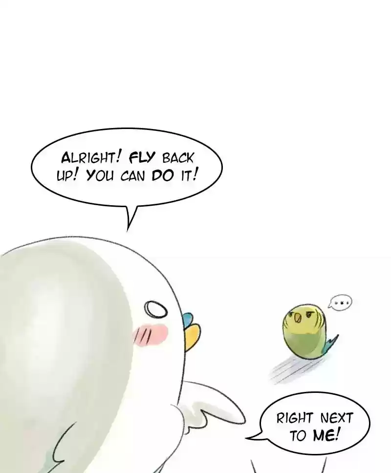 A Budgie's Life Chapter 30: Ep.30: