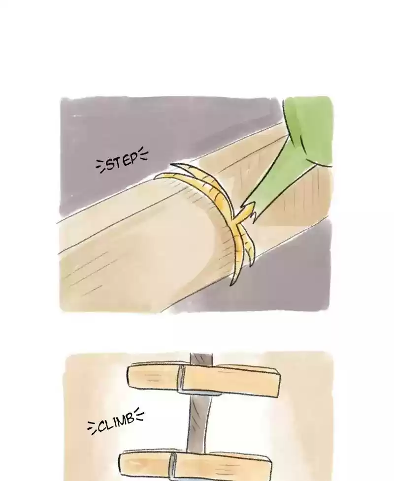 A Budgie's Life Chapter 30: Ep.30: