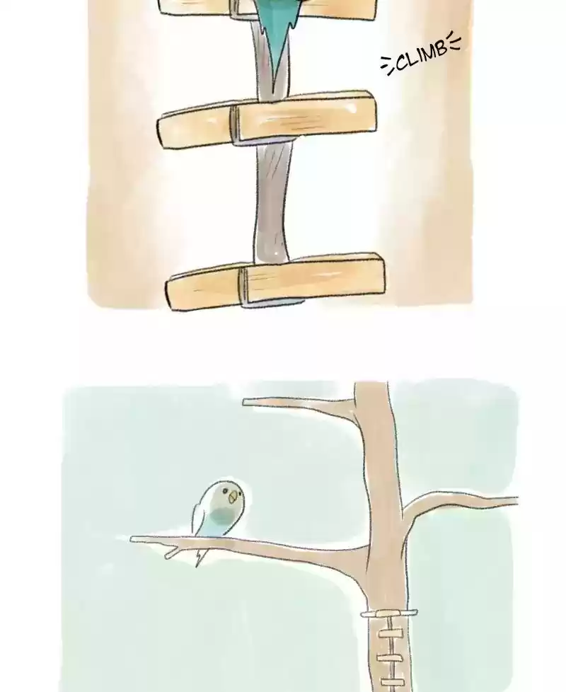 A Budgie's Life Chapter 30: Ep.30: