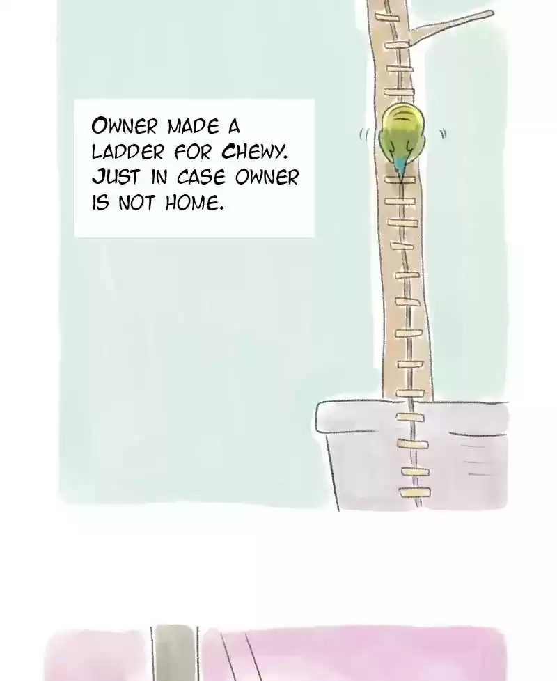 A Budgie's Life Chapter 30: Ep.30: