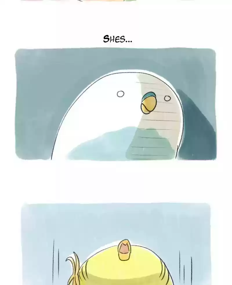 A Budgie's Life Chapter 30: Ep.30: