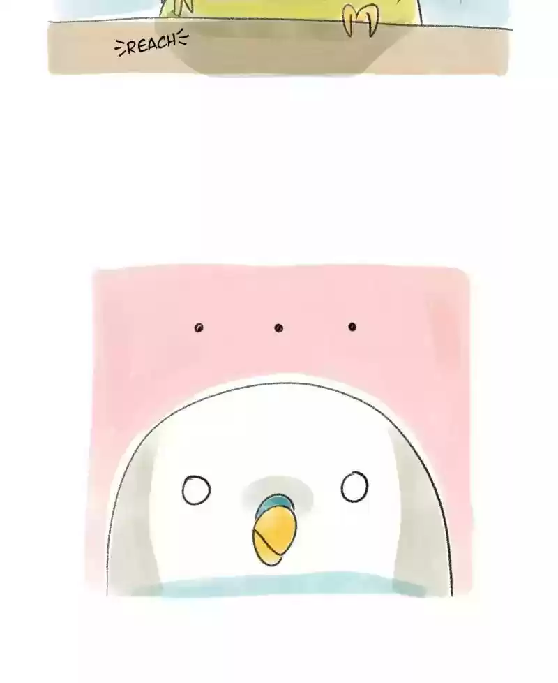 A Budgie's Life Chapter 30: Ep.30: