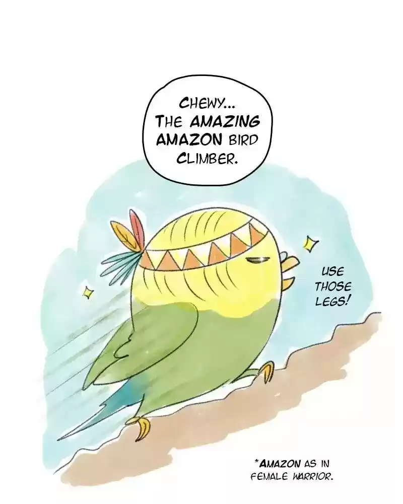 A Budgie's Life Chapter 30: Ep.30: