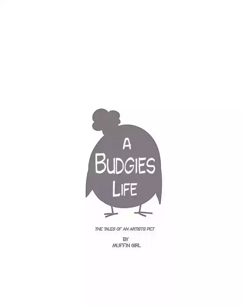 A Budgie's Life Chapter 30: Ep.30: