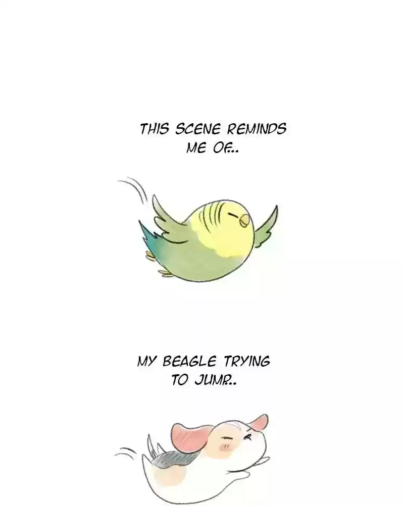A Budgie's Life Chapter 30: Ep.30: