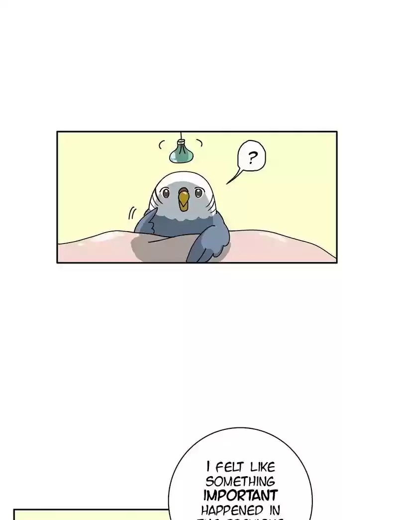 A Budgie's Life Chapter 300: Ep.299: