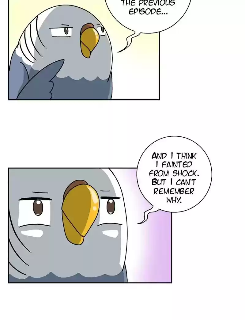 A Budgie's Life Chapter 300: Ep.299: