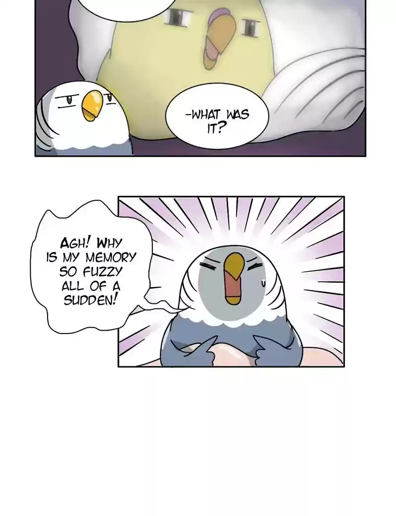 A Budgie's Life Chapter 300: Ep.299: