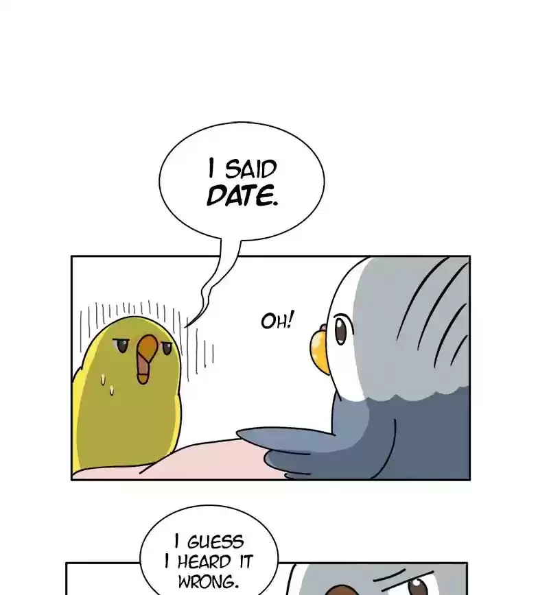 A Budgie's Life Chapter 300: Ep.299: