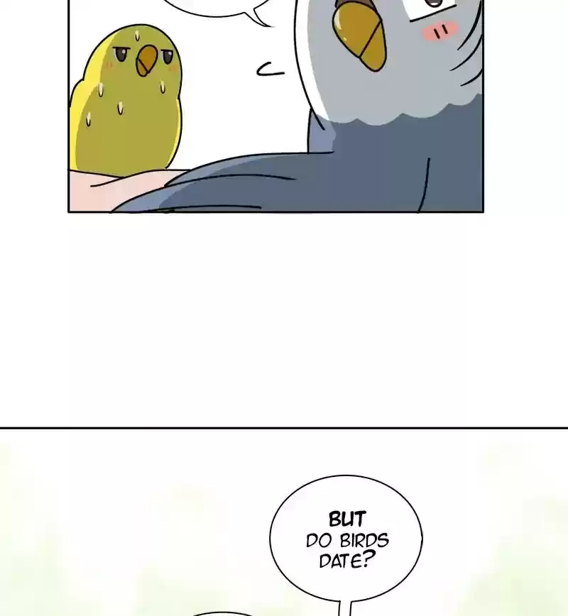 A Budgie's Life Chapter 300: Ep.299: