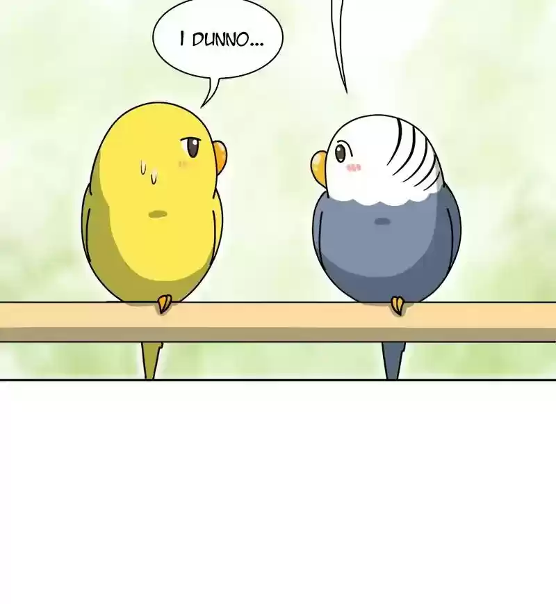 A Budgie's Life Chapter 300: Ep.299: