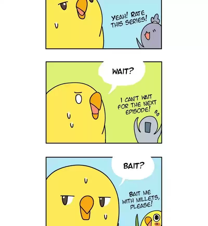 A Budgie's Life Chapter 300: Ep.299: