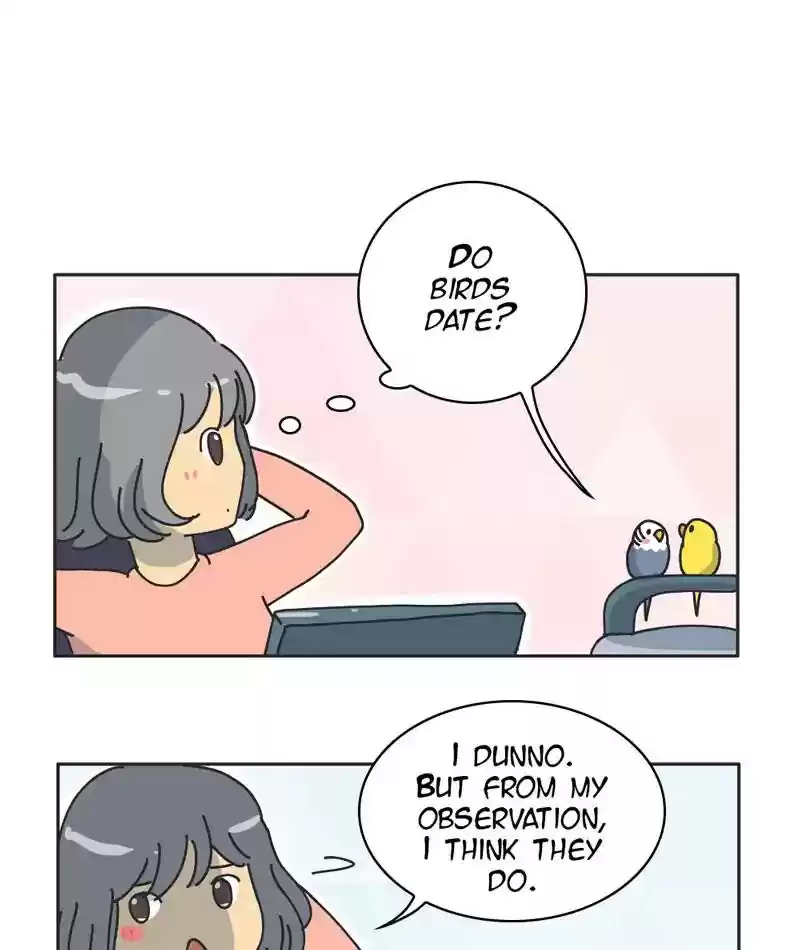 A Budgie's Life Chapter 301: Ep.300: