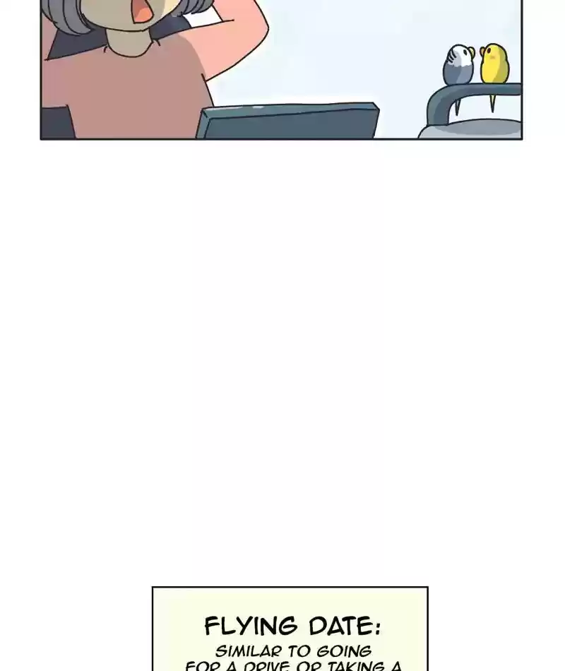 A Budgie's Life Chapter 301: Ep.300: