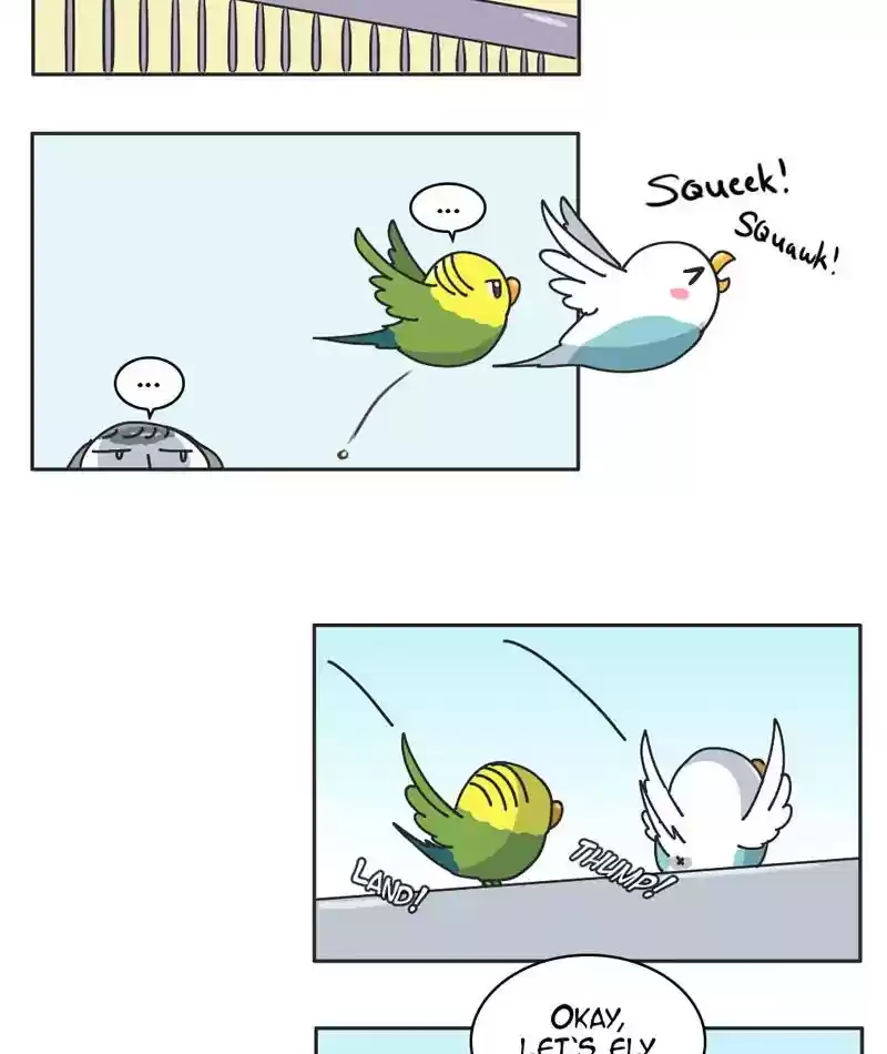 A Budgie's Life Chapter 301: Ep.300: