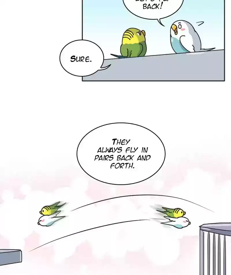 A Budgie's Life Chapter 301: Ep.300: