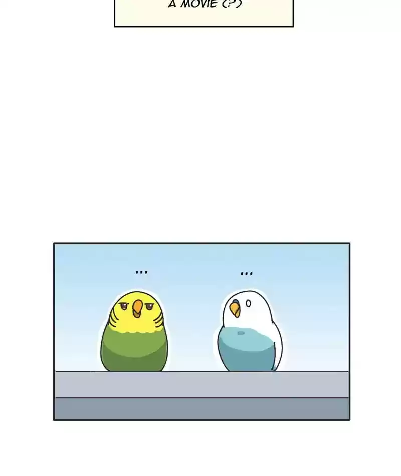 A Budgie's Life Chapter 301: Ep.300: