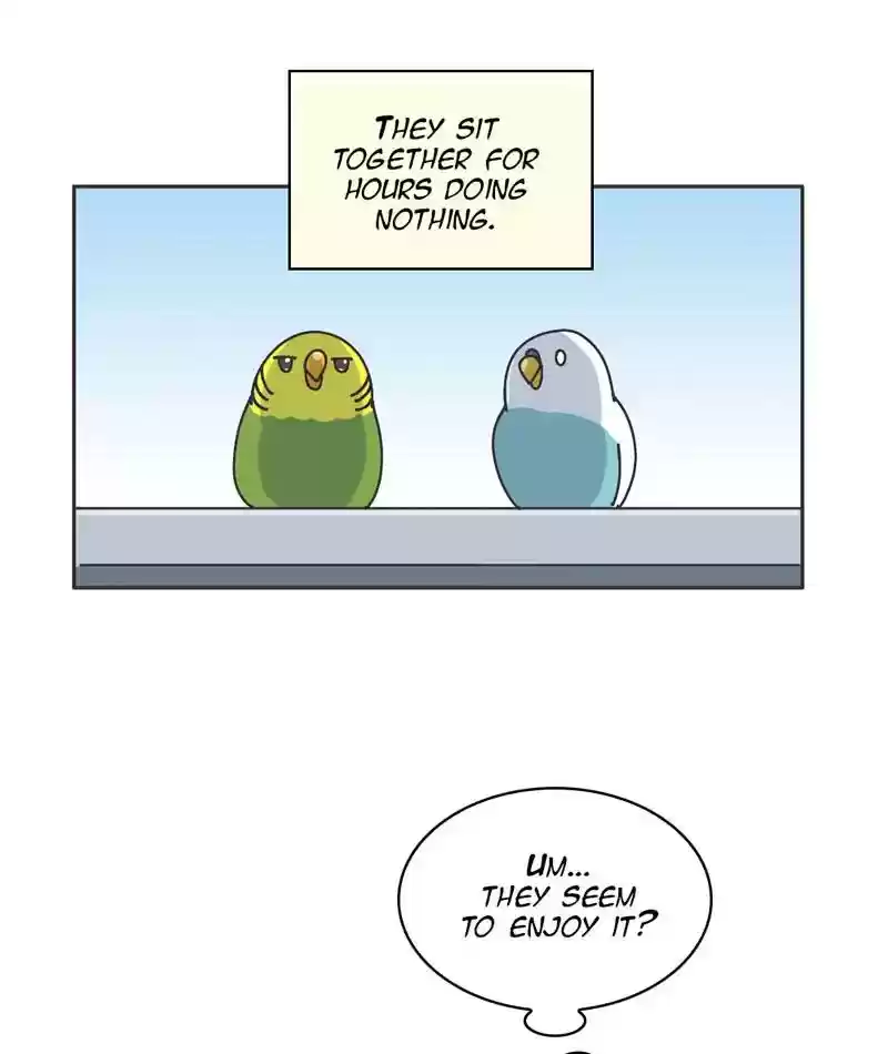 A Budgie's Life Chapter 301: Ep.300: