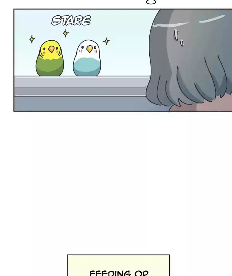 A Budgie's Life Chapter 301: Ep.300: