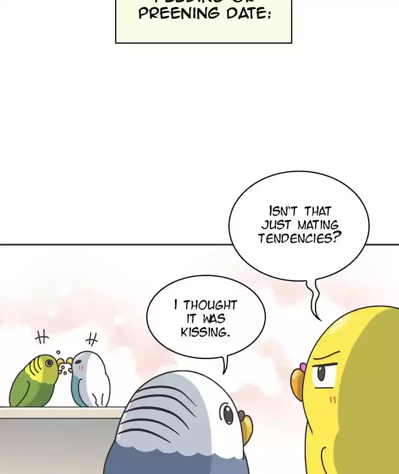 A Budgie's Life Chapter 301: Ep.300: