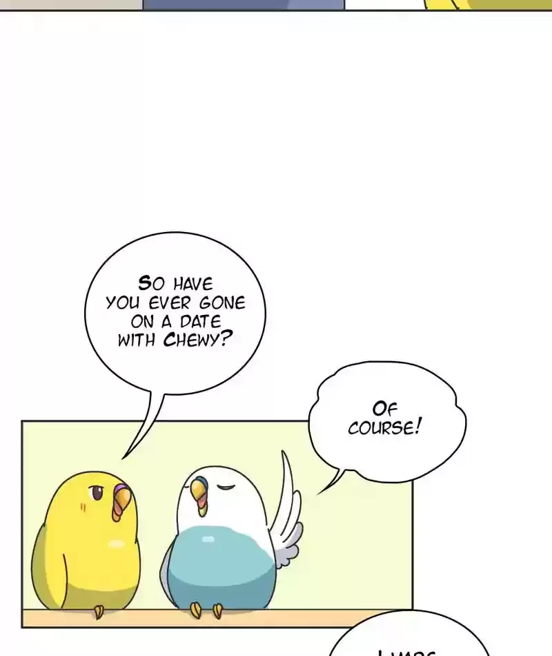 A Budgie's Life Chapter 301: Ep.300: